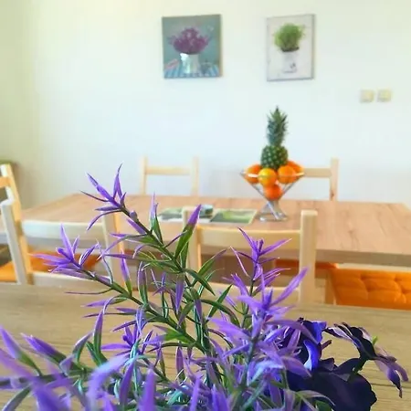Apartment Dragana *