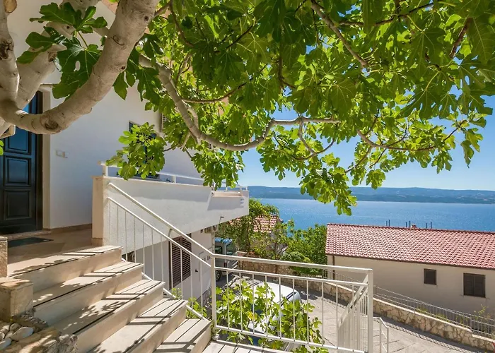 公寓 Dragana 洛克瓦罗戈兹尼察