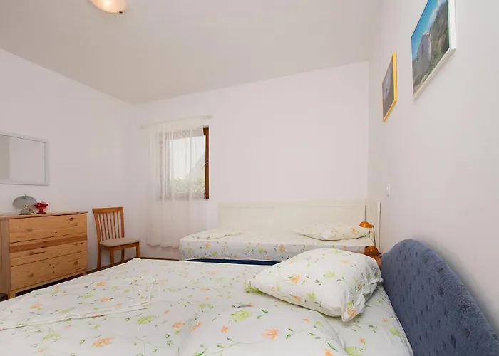 Dragana * 洛克瓦罗戈兹尼察