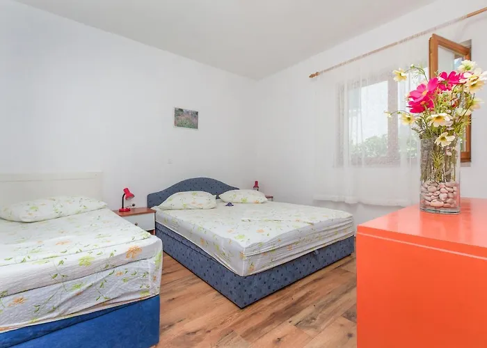 Dragana 洛克瓦罗戈兹尼察